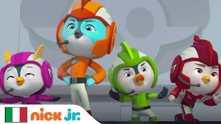 Al salvataggio di Timmy  Top Wing  Nick Jr [upl. by Crescint]