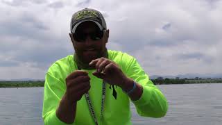 How to Lindy Rig for Spring Walleye [upl. by Boesch956]