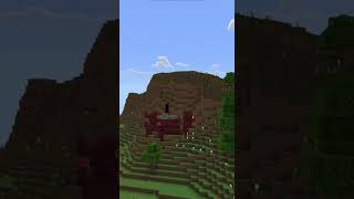 seed basuri ternyata ada ruined portal dan village di minecraft minecraft seed shorts [upl. by Alliuqet]