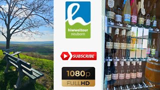 Rheinhessen at its best  Hiwweltour Neuborn  Wandern Hiking [upl. by Coad]