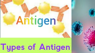 Antigen  Antibody  types of Antigen  Antigen antibody reaction  agglutination  agab reaction [upl. by Aneris]