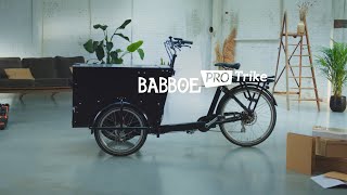 Le Babboe Pro Trike [upl. by Avlem212]