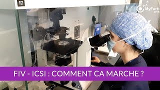 FIV ICSI en laboratoire PMA Comment ça marche [upl. by Idnas]