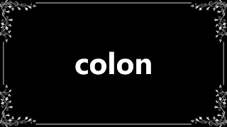 Colon  Definition and How To Pronounce [upl. by Ruffina510]