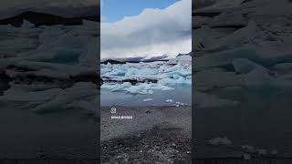 Jökulsárlón Glacier Lagoon iceland icelandtravel icelandtrip travel shorts [upl. by Lam999]