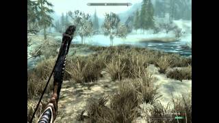 The Elder Scrolls V Skyrim on NVIDIA GeForce 210 [upl. by Leoline]