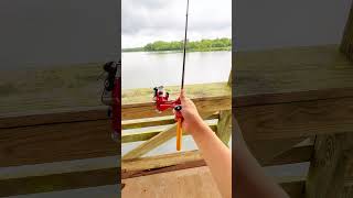 I do this everytime 😅 fisherman bassfishing fishermans fishing penfishingrod sportfishing [upl. by Rattray]