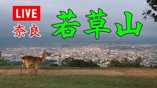 若草山山焼き2023 from 奈良若草山ライブカメラ [upl. by Knowland708]