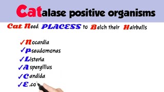 catalase positive organismscatalase positive organisms mnemonicsmicrobiology [upl. by Nirac374]