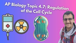 47 Regulation of the Cell Cycle  AP Biology [upl. by Cooperstein237]