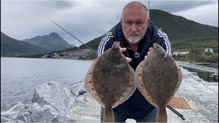 Shore Fishing For Plaice in Norway [upl. by Matthias]