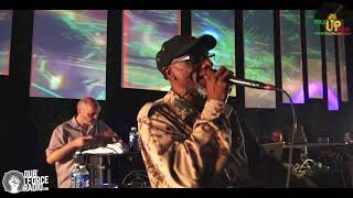 VIBRONICS Ft MADU MESSENGER amp MICHAEL PROPHET  LIVE COMPLET  DUB STATION FESTIVAL 2017 4k Video [upl. by Sheba]