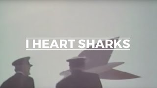 FM Belfast  Par Avion I Heart Sharks Remix [upl. by Ahseryt]