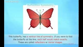 Lines of Symmetry Explained Math for Kids [upl. by Hedveh243]