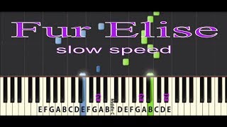 Fur Elise Tutorial Slow speed [upl. by Siskind]