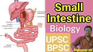 Small Intestine Biology for UPSCBPSC  Detailed Lecture by Rajkumar Sir  Chronicle Academy Patna [upl. by Hance]