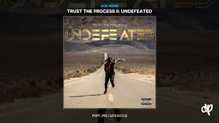 Ace Hood  Be Calm Trust The Process II [upl. by Yakcm]