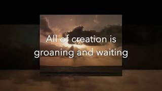 All Of Creation Lyric Video Andy Rogers [upl. by Missie]