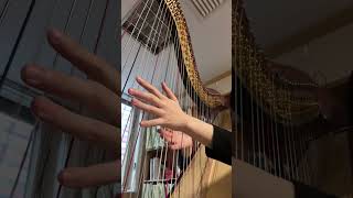 Introduction et Allegro Harp Cadenza [upl. by Aidole]