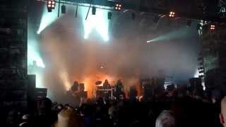 Monstrosity  Final Cremation live at Hellfest 2013 [upl. by Aihseyk113]