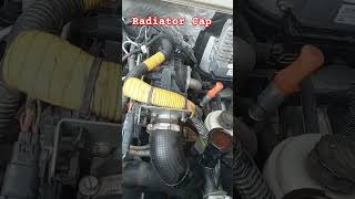 Check out the Radiator Cap And Cooling system maheshji4640 bolero driver driving shorts [upl. by Tifanie630]