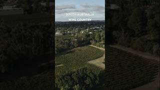 Explore Barossa Valley South Australia’s Premier Wine Destination [upl. by Etteluap]