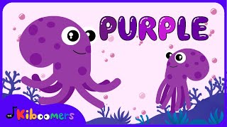 Meet the Color Purple Song  The Kiboomers Colors Songs for Preschoolers [upl. by Einahpehs]