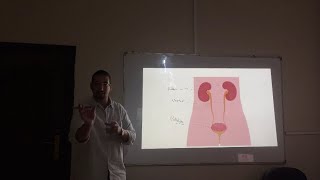 Excretory System  IGCSE BIOLOGY بالعربي [upl. by Rufena]