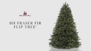 Balsam Hill™ Fraser Fir  Flip Tree Technology [upl. by Dewain]