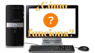 ¿Cómo funciona una computadora [upl. by Nnylatsirk]