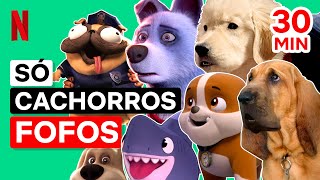 30 minutos de cachorros fofos e engraçados  Netflix Brasil [upl. by Birgitta]