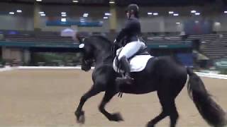 US Dressage Finals 20191st Level Musical Freestyle Open Championship [upl. by Huxley]