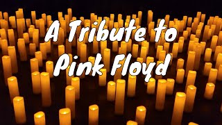 A Tribute To Pink Floyd String Quartet Candlelight Concert Live [upl. by Enileuqkcaj854]