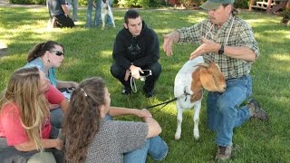 GWR Wildlife Capture and Handling Course [upl. by Leimaj893]