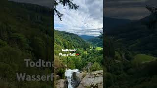 Todtnauer Wasserfall mountains blackforest beautiful schwarzwald waterfall clip [upl. by Nananne]