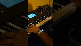 Tu bondad New wine cover piano YRT [upl. by Padget815]