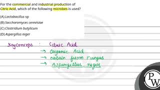 For the commercial and industrial production of Citric Acid which of the following microbes is [upl. by Hafirahs999]