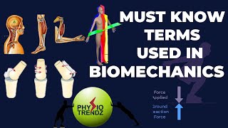 Biomechanics Basics For Physiotherapist kinesiology physiotrendz medico [upl. by Ydna]