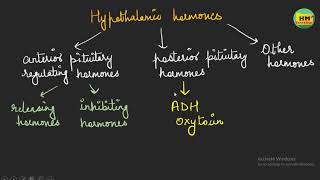 Hypothalamic hormones I Anterior and Posterior Pituitary hormones I Endocrine Physiology I [upl. by Kciwdahc973]