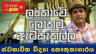 Travel With Chatura  Colombo National Museum Full Episode [upl. by Aleece548]