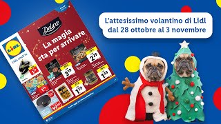 First reaction al nuovo volantino Lidl dal 2810 al 311 top  Lidl Italia [upl. by Ailadi]