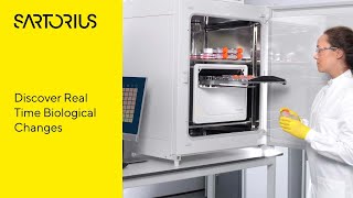 Applications for the Incucyte®️ LiveCell Imaging and Analysis System [upl. by Philo663]