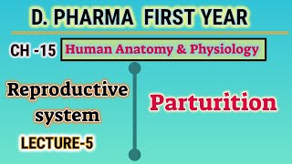 Parturition  CH15  L5  HAP  Reproductive system  DPharm first year [upl. by Treblih]