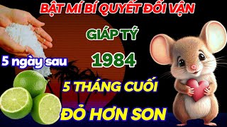 BẬT MÍ BÍ QUYẾT ĐỔI VẬN GIÁP TÝ 1984 ĐÚNG 5 THÁNG CUỐI NĂM SỐ ĐỎ HƠN SON GIÀU CÒN HƠN CẢ ĐẠI GIA [upl. by Eiggep663]