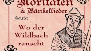 wo der Wildbach rauscht [upl. by Enitsirt647]