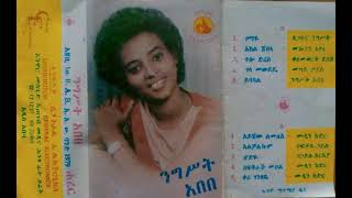 NIGEST ABEBE Kery genezaby ንግሥት አበበ ቀሪ ገንዘቤ  Ethiopian Music [upl. by Marten]