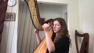 A Thousand Years  harp cover [upl. by Eveam864]