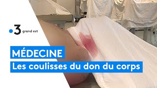 Médecine  les coulisses du don du corps à la science [upl. by Blinny]