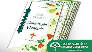 Lámina Alimentos y nutrición radiestesia [upl. by Nodnil]