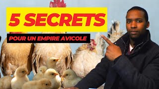 quot🚨URGENT🚨 5 Secrets Pour Faire de lÉlevage de Volaille en Afrique un Empire Rentablequot [upl. by Malena597]